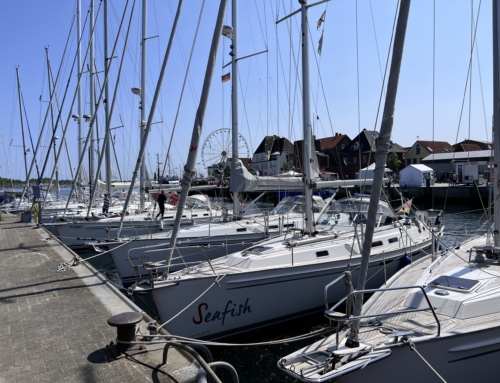 Newsletter Mai 2023