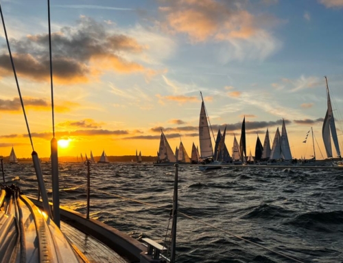 Newsletter Juni 2023