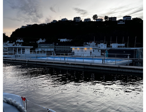 Ananda Dve, Saare 38.2 auf dem Weg nach Norden