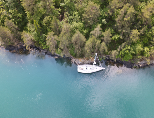 Newsletter Juni 2025